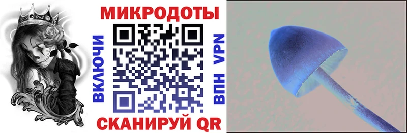Псилоцибиновые грибы Psilocybe  Печора 
